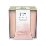 αρωματικό κερί ipuro Essentials Time for a Hug 125γρ