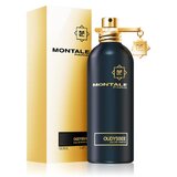 Montale Oudyssee Eau de Parfum 100ml