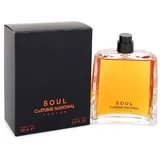 Costume National Soul Eau de Parfum