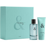 Tiffany & Co. Tiffany & Love for Him Eau de toilette, Eau de toilette 90ml + Αφρόλουτρο 100ml