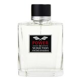 Antonio Banderas Power Of Seduction Eau de Toilette