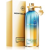 Montale Aoud Lagoon Eau de Parfum, 100ml