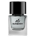 Burberry Mr. Burberry for Men Eau de toilette Eau de Toilette 50ml