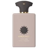 Amouage Opus XIV Royal Tobacco Eau de Parfum 100ml