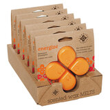 ROOT CANDLES Searching Balance wax ENERGIZE / DELIVERY OF ENERGY