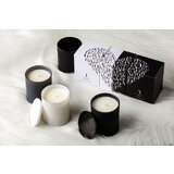 Vila Hermanos Never Alone N.3 Αρωματικό κερί για τον άνθρωπο 200γρ