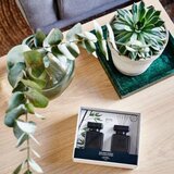 Διαχύτης ipuro Essentials Black Bamboo 2x50ml σε συσκευασία δώρου