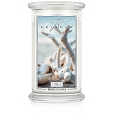 Kringle Candle Coral μεγάλο αρωματικό κερί 2 φυτιλιών (624 g)