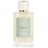 Chloe Atelier Des Fleurs Immortelle Eau de Parfum 150ml