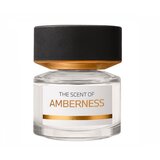 BMW The Scent of Amberness Eau de Parfum 50ml