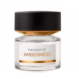 BMW The Scent of Amberness Eau de Parfum