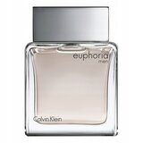 Calvin Klein Euphoria Men Eau de Toilette 100ml