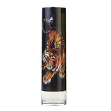 Christian Audigier Ed Hardy Men's Eau de Toilette 100ml