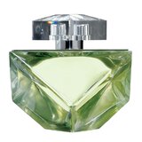 Britney Spears Believe Eau de Parfum 100ml