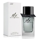 Burberry Mr. Burberry Eau de Toilette - Tester, 100ml