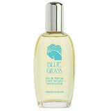 Elizabeth Arden Blue Grass Eau de Parfum 100ml