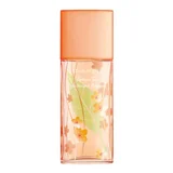 Elizabeth Arden Green Tea Nectarine Blossom Eau de Toilette - Tester 100ml
