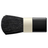 Blusher Brush for Beauty Box