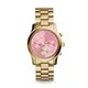 Hodinky Michael Kors MK6161
