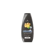 Σαμπουάν κατά της πιτυρίδας (Intensive Shampoo) 400 ml