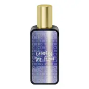 Iceberg Change The Flow For Him Eau de Toilette 30ml