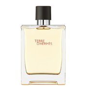 Hermes Terre D'Hermes Eau de Toilette - Tester