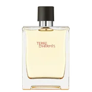 Hermes Terre D'Hermes Eau de Toilette - Tester