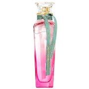 Adolfo Dominguez Agua Fresca de Gardenia Musk Eau de Toilette