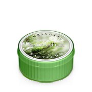 Αρωματικό κερί Kringle Candle Balsam Fire (35 g)