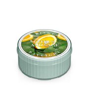 Αρωματικό κερί Kringle Candle CITRUS & SAGE (35 g)