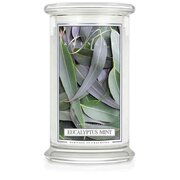 Kringle Candle Ευκάλυπτος Μέντα μεγάλο αρωματικό κερί 2 φυτιλιών (624 g)