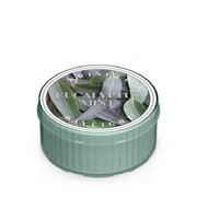Kringle Candle Αρωματικό κερί Ευκάλυπτου Μέντα (35 g)