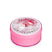 Kringle Candle Αρωματικό κερί παιώνιας (35 g)