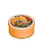 Αρωματικό κερί Kringle Candle Pumpkin Sage (35 g)