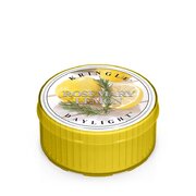 Κερί Kringle Rosemary αρωματικό κερί λεμόνι (35 g)