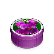 Kringle Candle Αρωματικό κερί με γλυκό μπιζέλι (35 g)