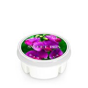 Κερί Kringle Candle Sweet Pea με άρωμα κερί (35 g)