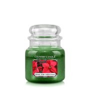 Country Candle Home for Christmas αρωματικό κερί μεσαίο 2-φιτίλι (453 g)