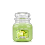 Country Candle Honeydew μεσαίο αρωματικό κερί 2 φυτιλιών (453 g)
