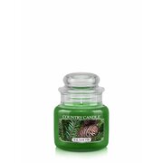 Country Candle Balsam με άρωμα έλατου Κερί μίνι 1-φιτίλι (104 g)