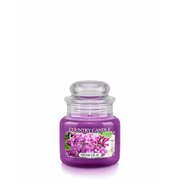 Κερί Country Candle Fresh Lilac αρωματικό κερί μίνι 1-φιτίλι (104 g)