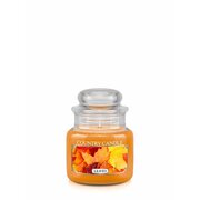 Country Candle Leaves αρωματικό κερί μίνι 1-φιτίλι (104 g)