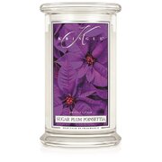 Kringle Candle Sugar Plum Poinsettia μεγάλο αρωματικό κερί 2 φυτιλιών (624 g)