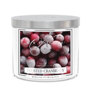 Kringle Candle TUMBLER Frosted Cranberry αρωματικό κερί μεσαίο 2-φιτίλι (411 g)