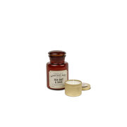 Αρωματικό κερί Paddywax Apothecary SEA SALT & SAGE (8oz / 226g)