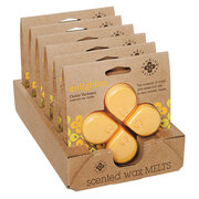 ROOT CANDLES Searching Balance wax ENLIGHTEN / ENLIGHTENMENT