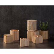Paddywax WOODS SQUARE ΕΥΚΑΛΥΠΤΟΣ & ΣΑΝΤΑΛΟΞΥΛΟ (12oz / 340g)