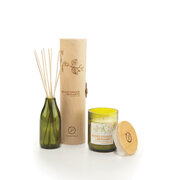 Διαχύτης Paddywax Eco Green BLOOD ORANGE & BERGAMOT (4 oz / 118 ml)
