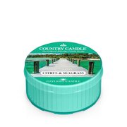Country Candle Αρωματικό κερί με εσπεριδοειδή και θαλάσσιο χόρτο (35 g)