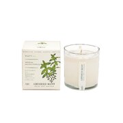 Αρωματικό κερί KOBO Plant the Box Crushed Mint (10oz / 283g)